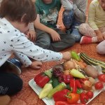 phoca_thumb_m_zajci a zelenina 34 Fotogalerie